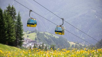 Zwei Seilbahnen schweben über eine blühende Wiese in den Bergen.